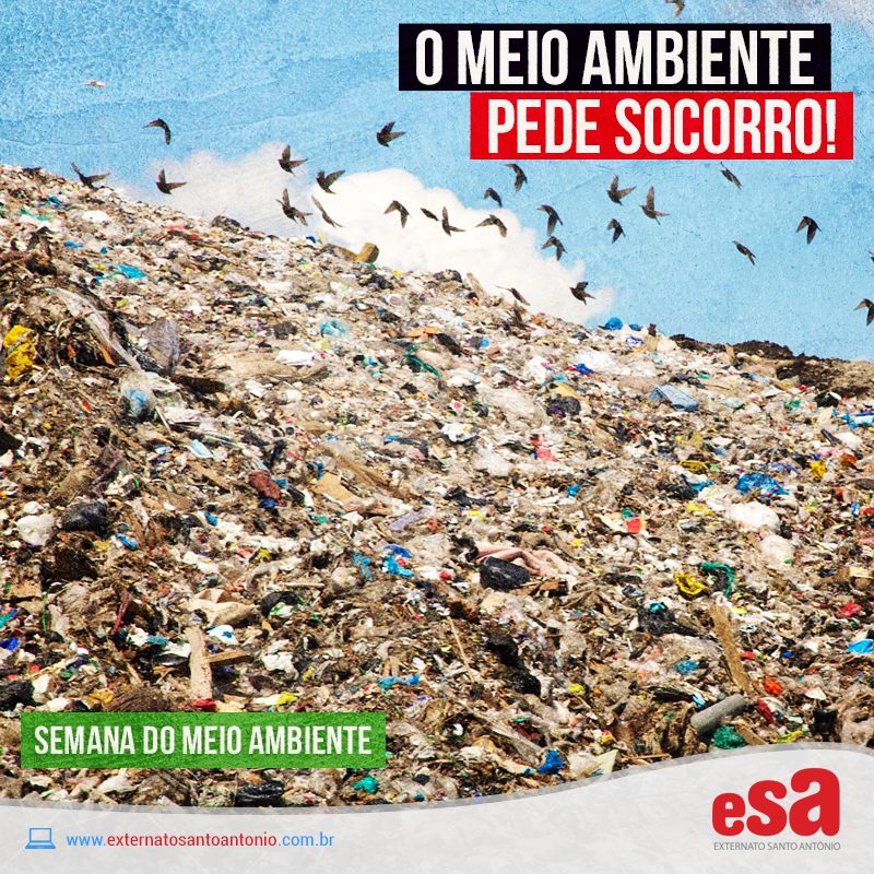 Posts para mídias sociais